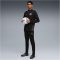 PUMA Manchester City FC Training 1/4-Zip Trainings-Top 2025/26 Herren 14 - PUMA black/PUMA silver S