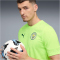 PUMA Manchester City FC Trainingsshirt 2025/26 Herren 16 - fizzy apple/blue violet S