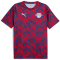 PUMA RB Leipzig Aufwärmshirt 2025/26 Herren 05 - elektro blue/for all time red S