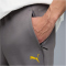 PUMA BVB Borussia Dortmund Pumatech Jogginghose Herren 21 - cool dark gray/faster yellow S