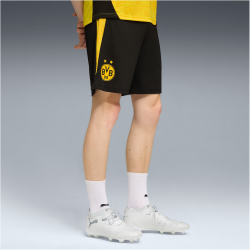 PUMA BVB Borussia Dortmund Trainingsshorts 2025/26 Herren...