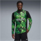 PUMA Borussia Mönchengladbach 1/4-Zip Trainings-Top 2025/26 Herren 08 - PUMA black/green glare M