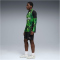 PUMA Borussia Mönchengladbach 1/4-Zip Trainings-Top 2025/26 Herren 08 - PUMA black/green glare M