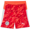 PUMA BVB Borussia Dortmund Torwartshorts 2025/26 Herren 99 - glowing red/silver mist S