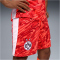 PUMA BVB Borussia Dortmund Torwartshorts 2025/26 Herren 99 - glowing red/silver mist S
