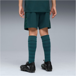 PUMA Manchester City FC Shorts 2025/26 Kinder 04 - green...