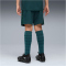 PUMA Manchester City FC Shorts 2025/26 Kinder 04 - green terrain 128