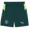 PUMA Manchester City FC Shorts 2025/26 Herren 04 - green terrain S