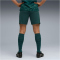 PUMA Manchester City FC Shorts 2025/26 Herren 04 - green terrain S