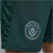 PUMA Manchester City FC Shorts 2025/26 Herren 04 - green terrain S