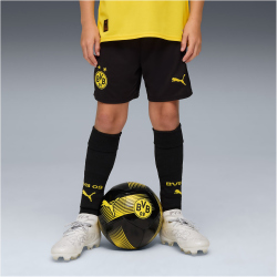 PUMA BVB Borussia Dortmund Shorts 2025/26 Kinder 05 -...