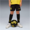 PUMA BVB Borussia Dortmund Shorts 2025/26 Kinder 05 - PUMA black/faster yellow 152