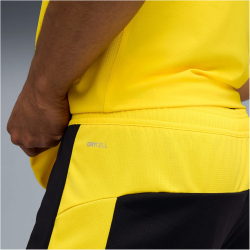 PUMA BVB Borussia Dortmund Shorts 2025/26 Herren 05 - PUMA black/faster yellow S