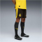 PUMA BVB Borussia Dortmund Shorts 2025/26 Herren 05 - PUMA black/faster yellow S