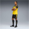 PUMA BVB Borussia Dortmund Shorts 2025/26 Herren 05 - PUMA black/faster yellow S