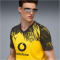 PUMA BVB Borussia Dortmund Heimtrikot 2025/26 Herren 01 - faster yellow/puma black XXL