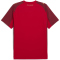 PUMA FC Red Bull Salzburg Ausweichtrikot 2025/26 Herren 04 - dark cherry/metallic gold S