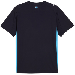PUMA Olympique Marseille Auswärtstrikot 2025/26...