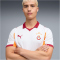 PUMA Galatasaray Istanbul Auswärtstrikot 2025/26 ohne Sponsor Herren 02 - PUMA white/intense orange S