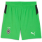 PUMA Borussia Mönchengladbach Shorts 2025/26 Herren 02 - PUMA green/warm white XL