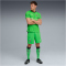 PUMA Borussia Mönchengladbach Shorts 2025/26 Herren 02 - PUMA green/warm white XL