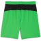 PUMA Borussia Mönchengladbach Shorts 2025/26 Herren 02 - PUMA green/warm white XL