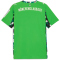 PUMA Borussia Mönchengladbach Auswärtstrikot 2025/26 Herren 02 - PUMA green/warm white S