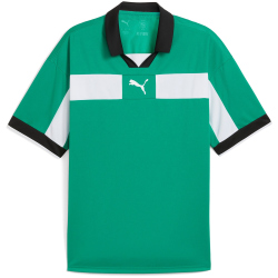 PUMA teamCLASSIC Trikot Herren 05 - sport green/puma...