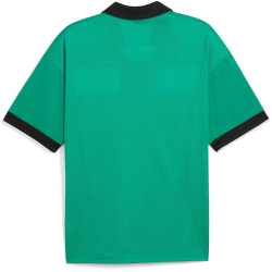 PUMA teamCLASSIC Trikot Herren 05 - sport green/puma...