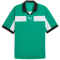 PUMA teamCLASSIC Trikot Herren 05 - sport green/puma white/puma black S