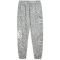 PUMA teamJAWS Post Game Jogginghose Herren 03 - medium gray heather S