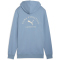 PUMA Class Graphic French Terry Hoodie Herren 34 - cool blue XL