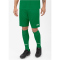 JAKO Manchester 2.0 Sporthose sportgrün S