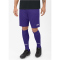 JAKO Manchester 2.0 Sporthose lila S