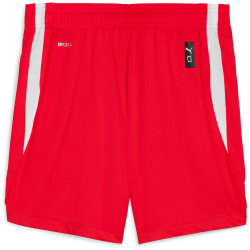 PUMA teamJAWS Starter Basketballshorts Jungen 04 - for...