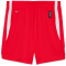 PUMA teamJAWS Starter Basketballshorts Jungen 04 - for all time red 116