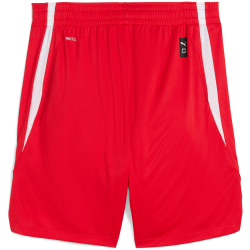 PUMA teamJAWS Starter Basketballshorts Herren 04 - for...