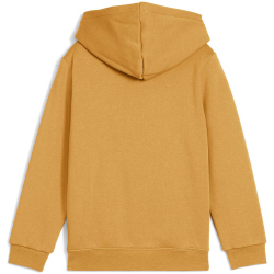 PUMA Essentials No. 1 Logo Fleece Hoodie Jungen 62 - archive gold 104
