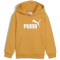 PUMA Essentials No. 1 Logo Fleece Hoodie Jungen 62 - archive gold 104