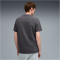 PUMA Pumatech T-Shirt Herren 44 - dusky gray M