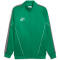 PUMA teamKING Anthem Trainingsjacke Herren 05 - sport green/puma white/puma black S