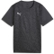 PUMA individualRISE Graphic Trikot Jungen 03 - asphalt/puma black 140