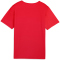 PUMA individualRISE Graphic Trikot Jungen 02 - PUMA red/PUMA white 128