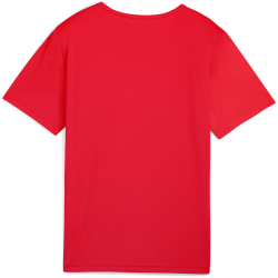 PUMA individualRISE Graphic Trikot Jungen 02 - PUMA red/PUMA white 140