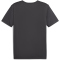 PUMA individualRISE Graphic Trikot Herren 03 - asphalt/puma black S