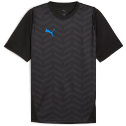 PUMA individualCUP Trikot Herren 07 - PUMA black/PUMA...