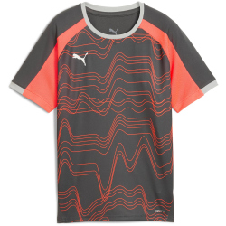 PUMA IndividualLIGA Graphic Trikot Kinder 10 - shadow...