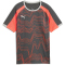 PUMA IndividualLIGA Graphic Trikot Kinder 10 - shadow gray/puma white/glowing red 140