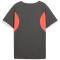 PUMA IndividualLIGA Graphic Trikot Kinder 10 - shadow gray/puma white/glowing red 140