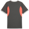 PUMA IndividualLIGA Graphic Trikot Herren 10 - shadow gray/puma white/glowing red S